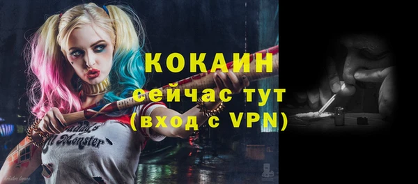 винт Абаза