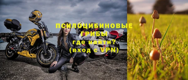 винт Абаза