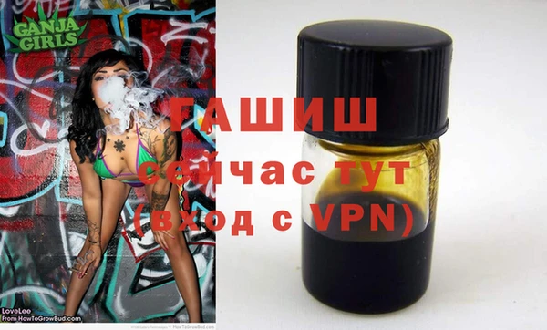 винт Абаза
