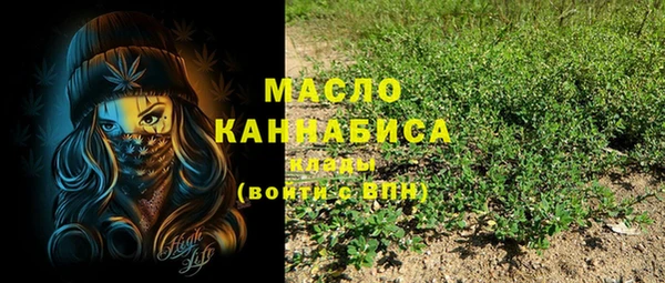 винт Абаза